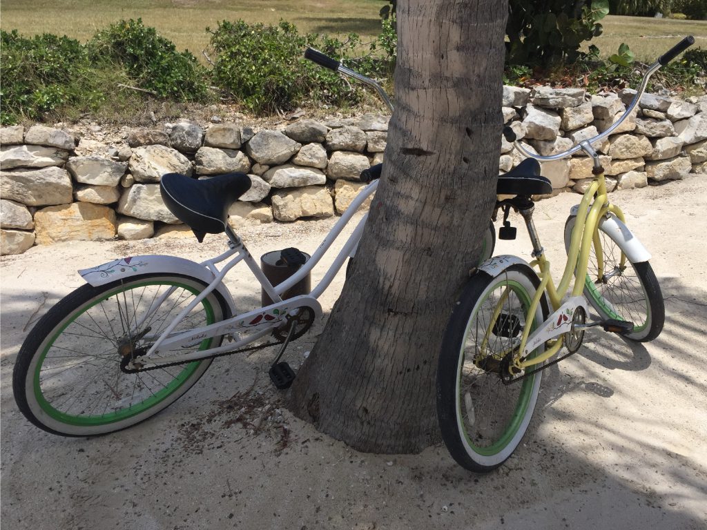 Bicycles make for convenient transport