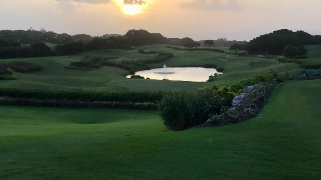 Green Monkey GC at Sandy Lane