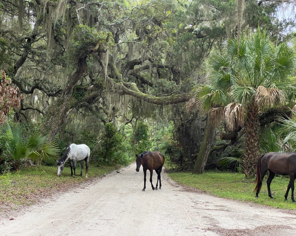 Horses of the Greyfield Inn