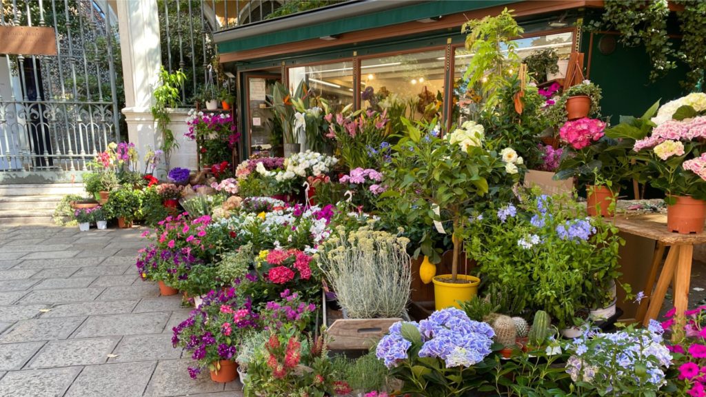 A cover Flower Shop near San Marso