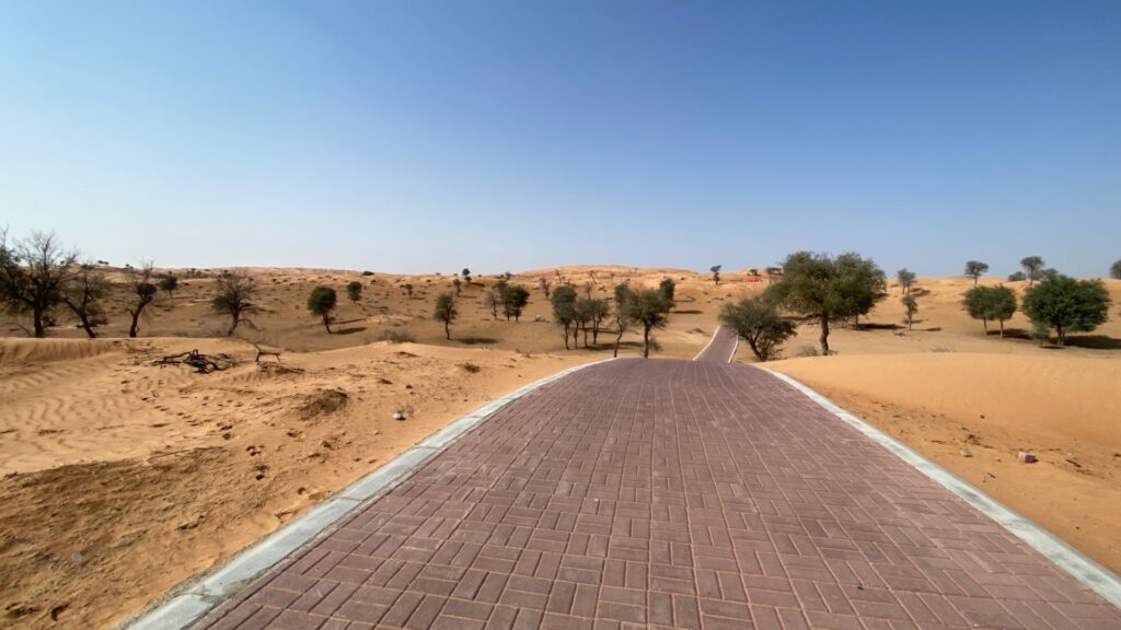 Ras Al Khaimah biking trail thru the desert