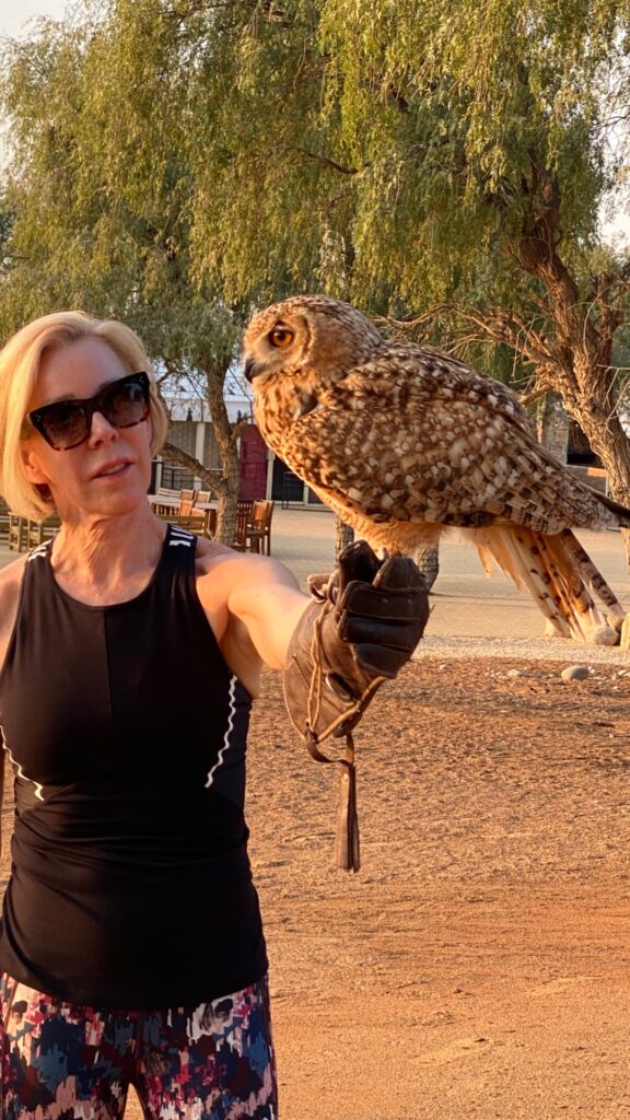 Falconry is the National Sport of Ras Al Khaimah