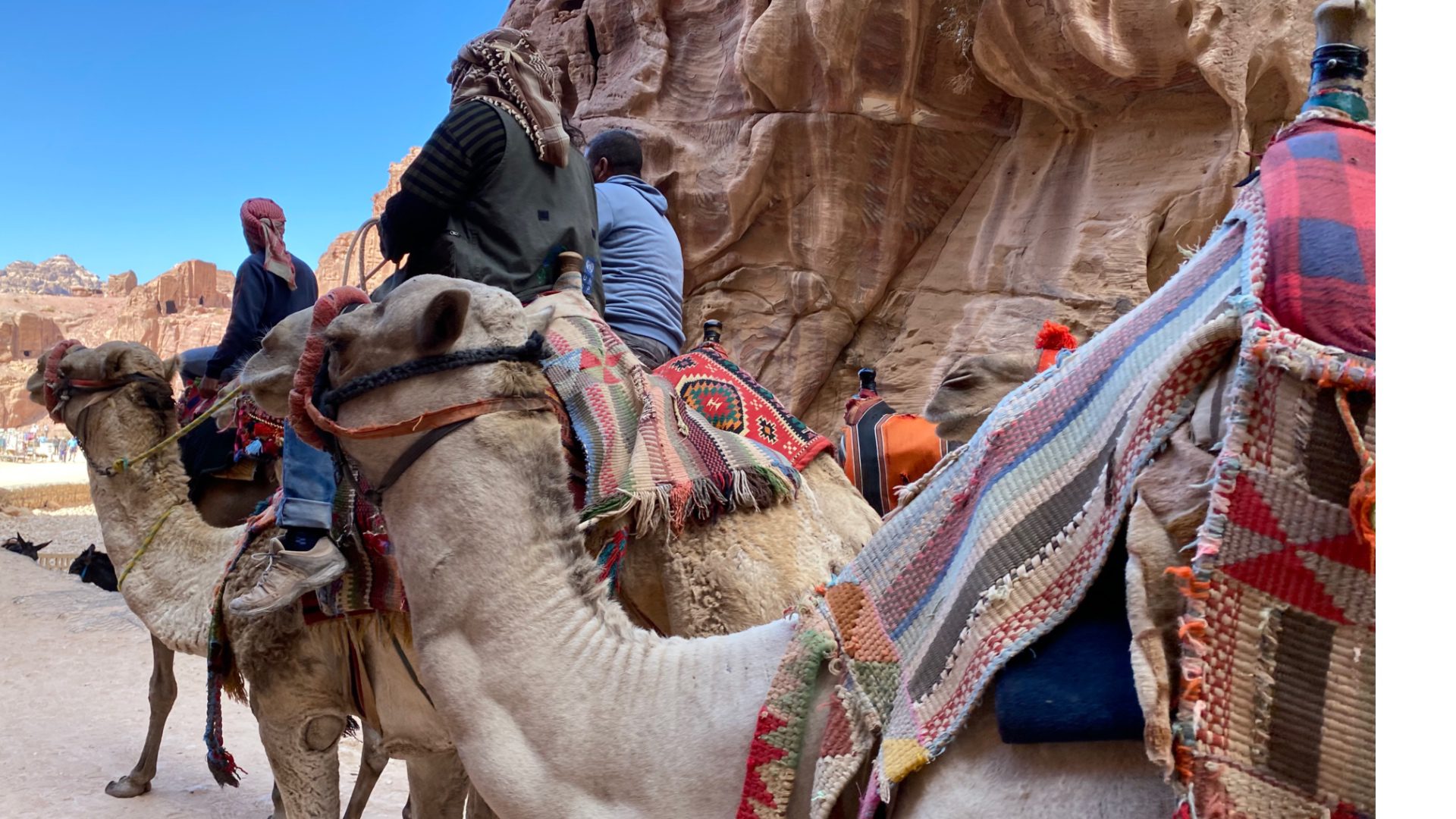 Bedouins heading back to their village