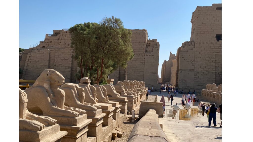 Rather than the typical human face on a lion’s body, these sphinxes have the head of a ram.