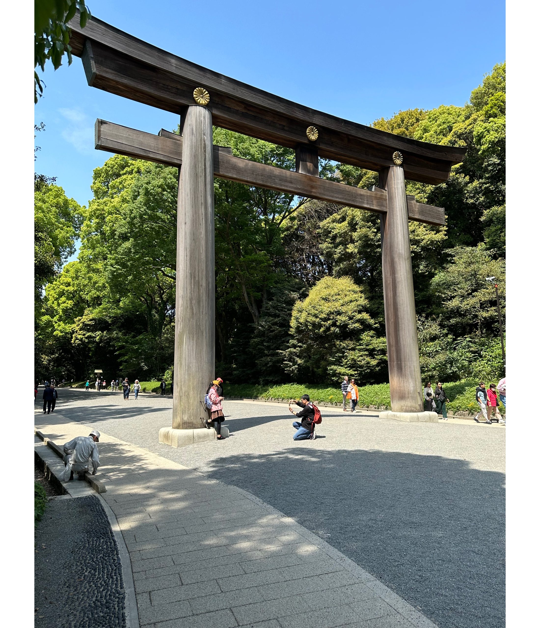 Very Large Shinto Shrine in the Center of Tokyo