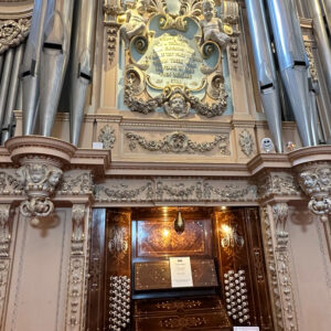 Largest organ in private ownership in Europe