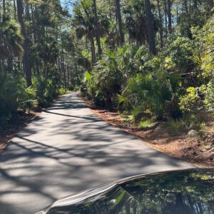 Paved Beach Road on Hunting Island