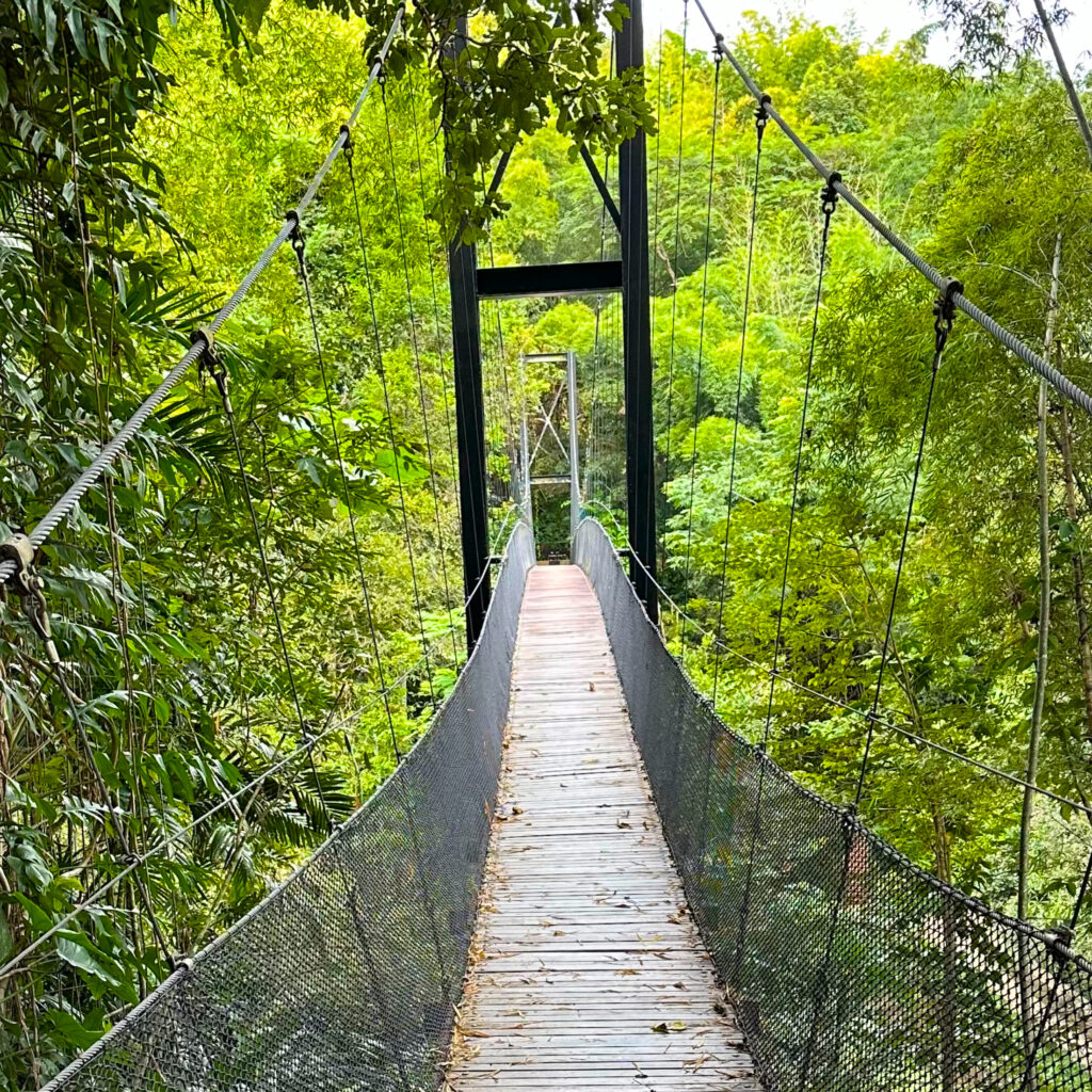 The two sides of the Elephant Camp are connected by this suspension bridge