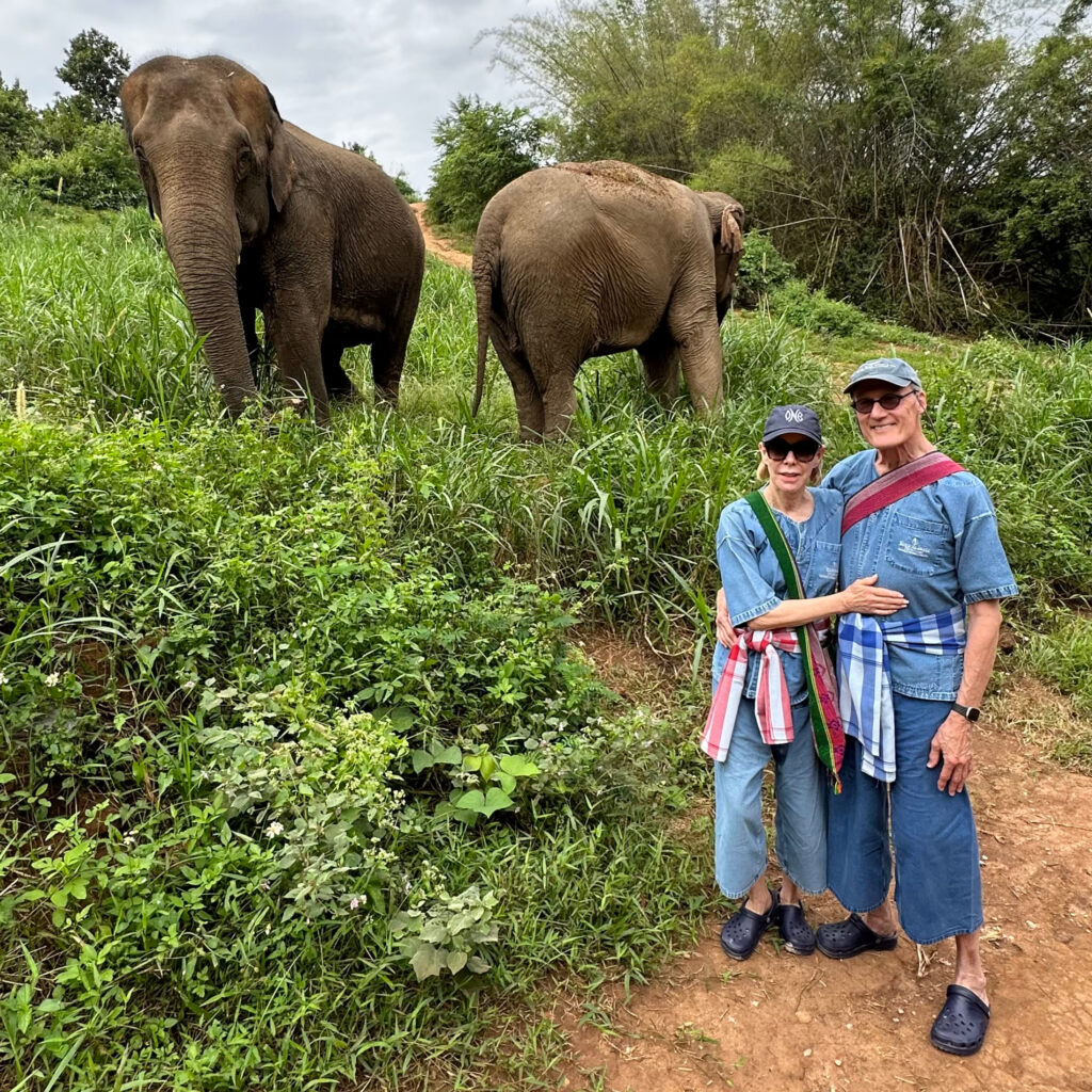 Elephant Camp Round up for our hike
