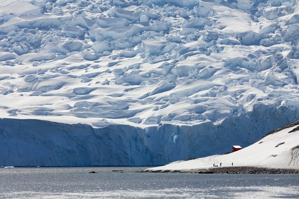 Neko Harbor Glacier - Antarctic Peninsula - Antarctica