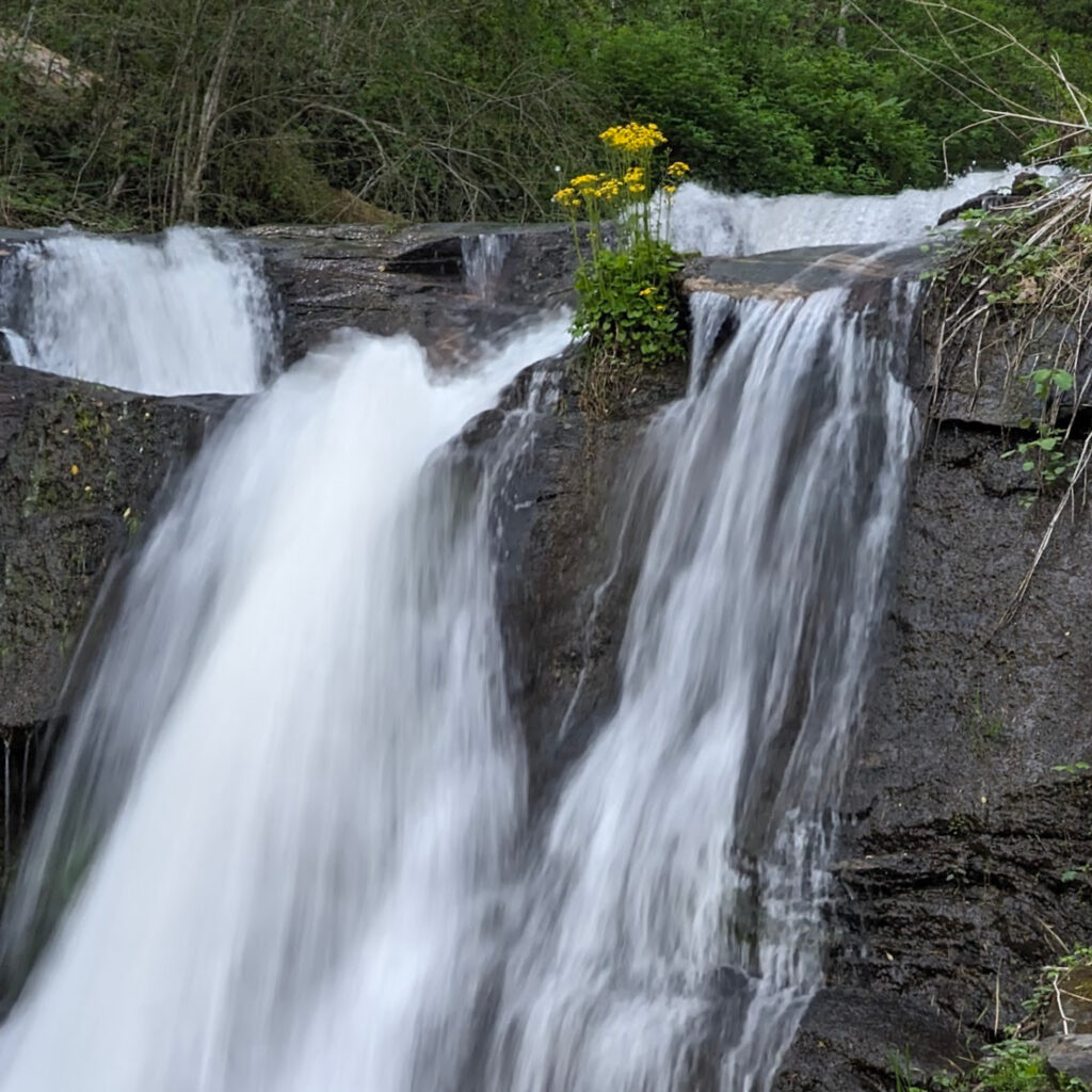 Falls behind our cabin in Bat Cave