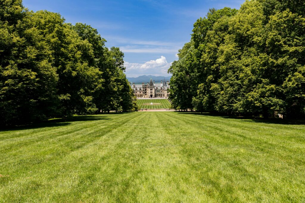 Biltmore from the hillside